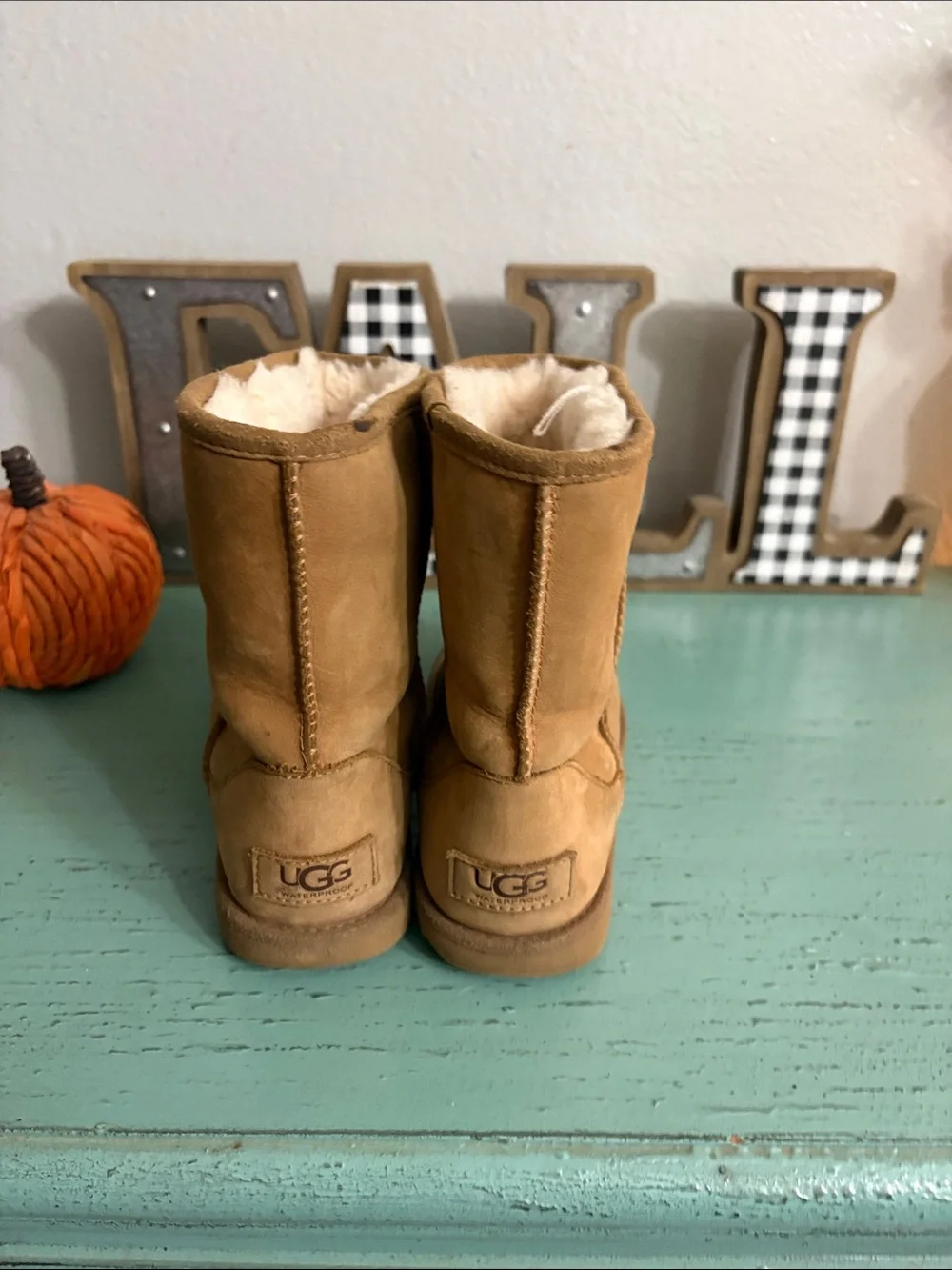 UGG cozy sheepskin
